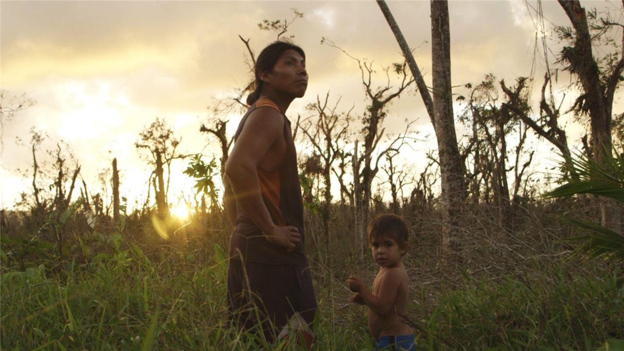 Un grito de guerra desde el corazón del bosque - El poder del cine documental como herramienta para la resistencia y la transformación social